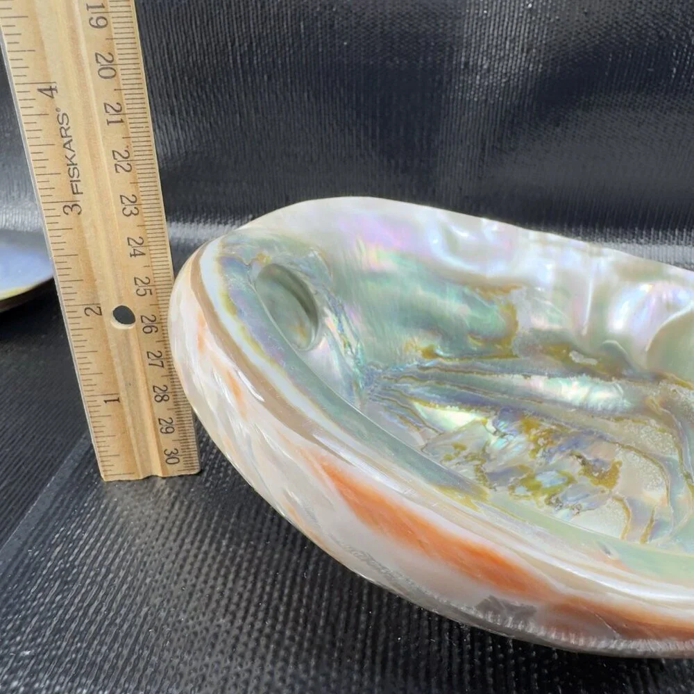 Natural Abalone Shell Large Dish Bowl Container Trinket Holder Iridescent Smooth